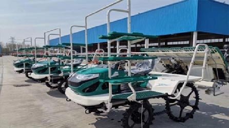Ride On Type Rice Transplanter